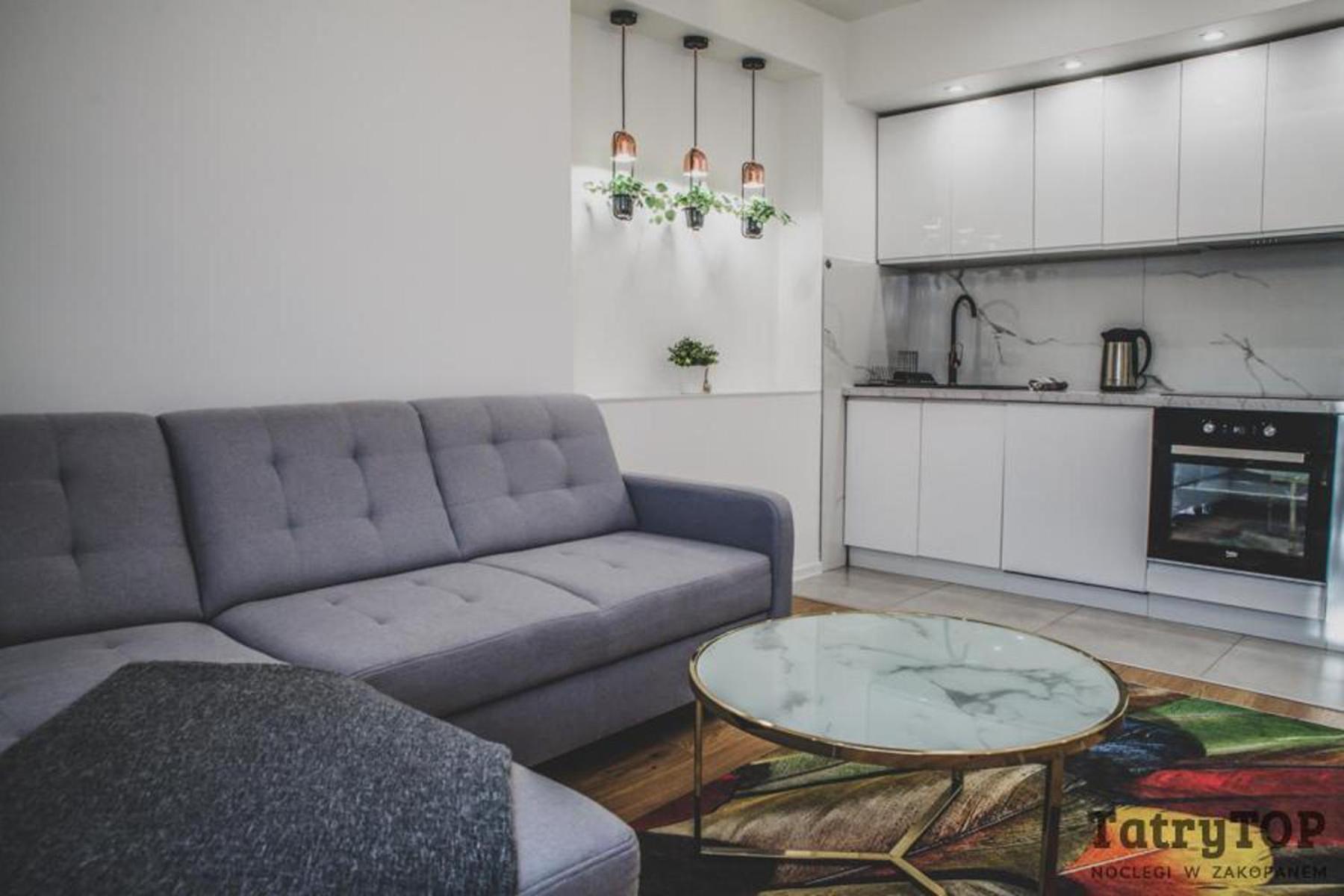 Tatrytop Apartament Zamoyskiego 2 ザコパネ エクステリア 写真